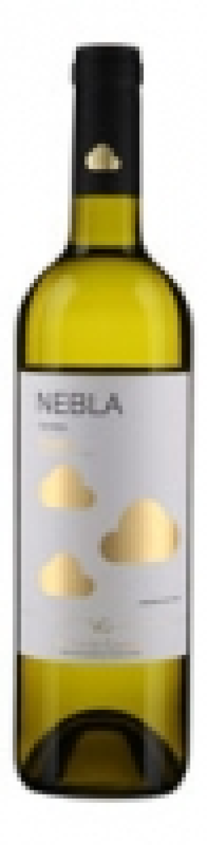 Rueda DO Nebla Verdejo 2016