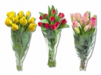Tulpen CHF 3.99