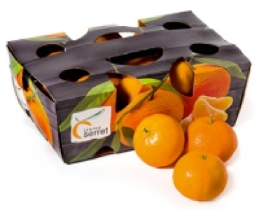 Clementinen CHF 2.49
