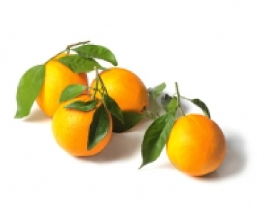 Premium Orangen mit Blatt