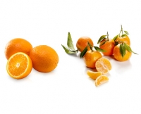 Aldi Suisse  NATURE ACTIVE BIO Bio-Orangen oder Bio-Clementinen