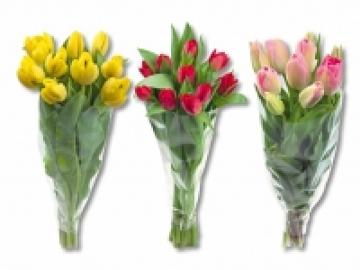 Tulpen CHF 3.99