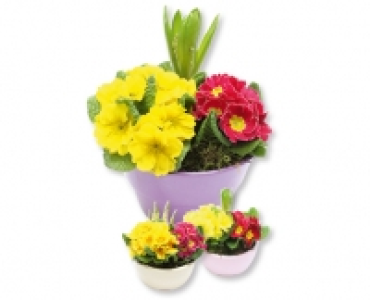 GARDENLINE® Fruhlingsschale
