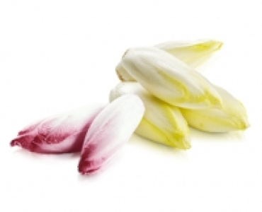 Chicorée