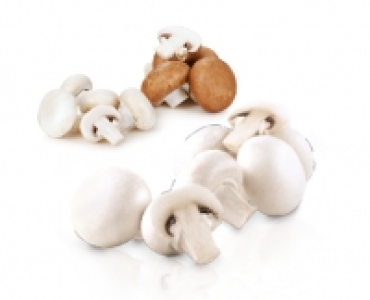 Champignons CHF 1.49
