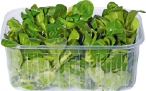 Nüsslisalat CHF 3.25