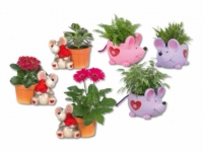 Bepflanzte Keramikmaus &laquo;Valentin&raquo;