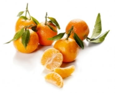 Premium Blatt-Clementinen