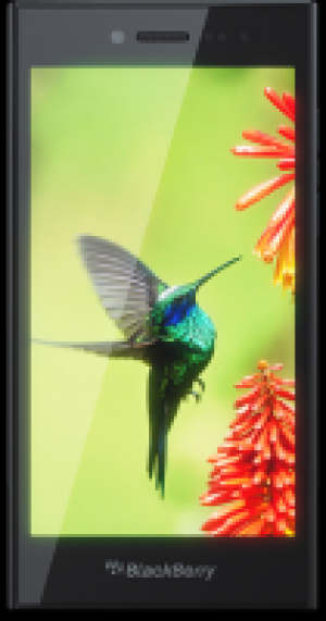 Black Berry Leap qwertz shadow grau