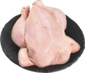 Poulet