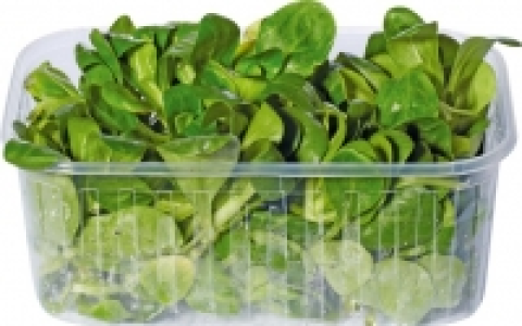 Nüsslisalat CHF 2.65