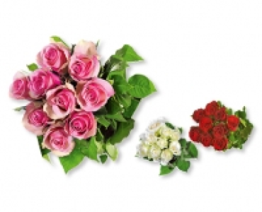 GARDENLINE&reg; Fairtrade Max Havelaar-Langstielrosen