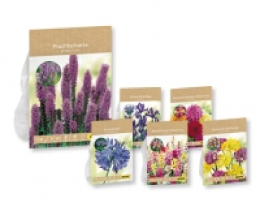 Blumenzwiebeln CHF 1.99