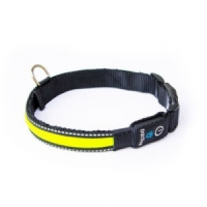 Tractive LED Dog Collar medium gelb CHF&nbsp;19.90