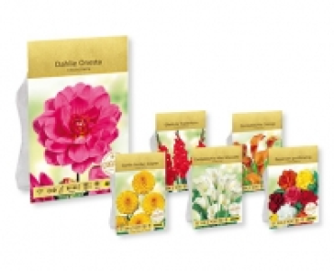 Exklusive Blumenzwiebeln CHF 2.99