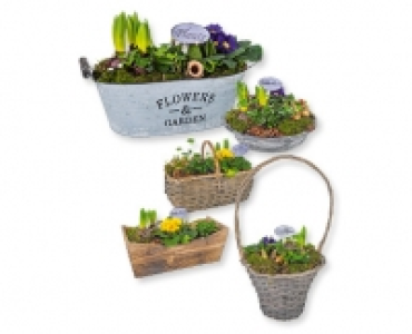 Fruhlingskorb CHF&nbsp;14.99