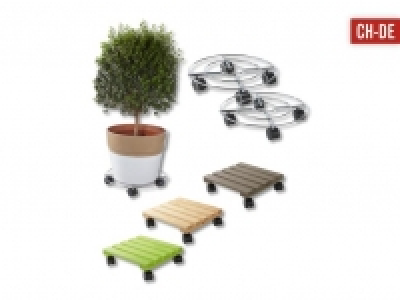 Pflanzenroller CHF 5.99