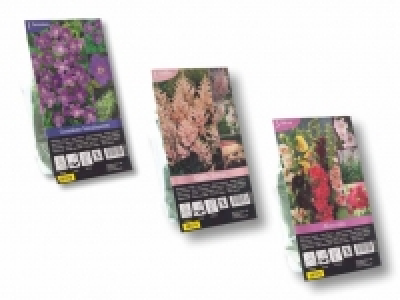 Winterharte Staudenknollen CHF 1.49