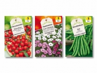 Lidl  Gemüse-, Kohl- und Salatpflanzen/ Saisonale Blühpflanzen