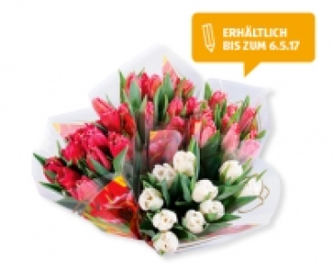 Tulpen CHF 4.99