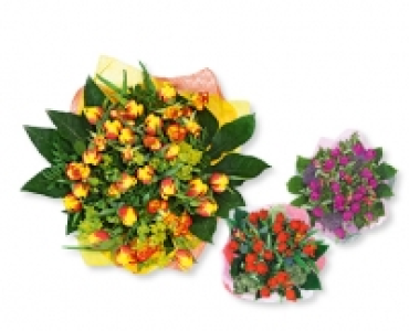 Tulpenstrauss
