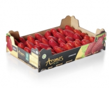 Erdbeeren CHF 4.99