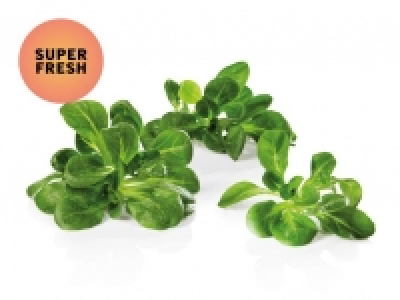 Nüsslisalat CHF 1.99