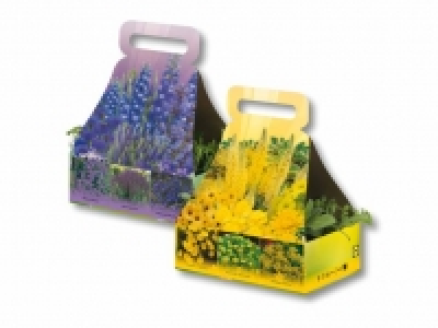 Staudenmix mit Tragegriff CHF&nbsp;4.99