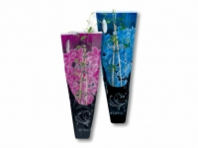 Clematismix CHF 4.99