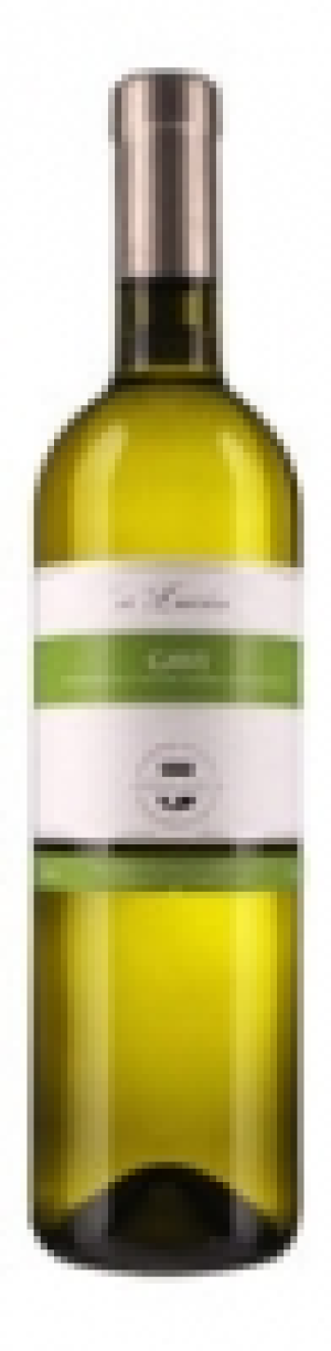 Araldica Gavi La Luciana DOCG 2016 CHF 6.35