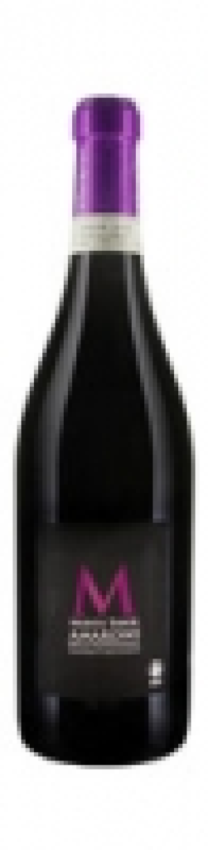 Naturaplan Bio-Amarone della Valpolicella DOC Monte Tabor 2012 CHF&nbsp;23.95