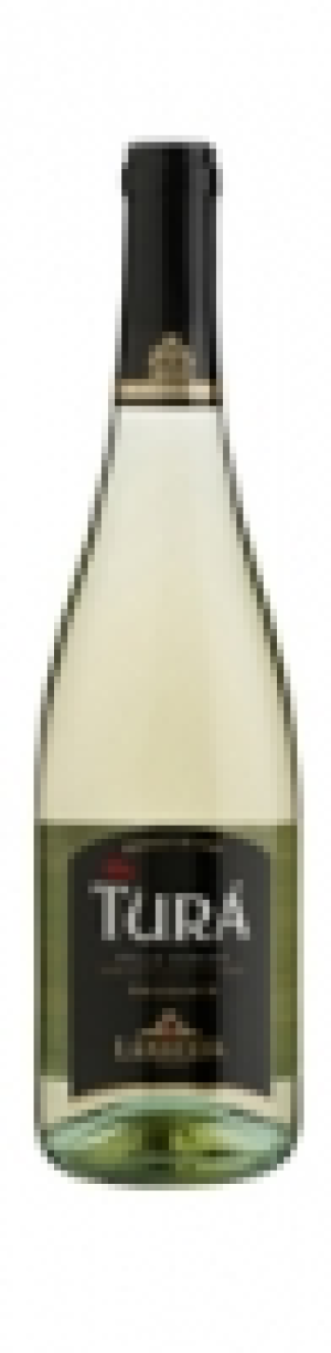 Tur&aacute; Lamberti Frizzante delle Venezia IGT