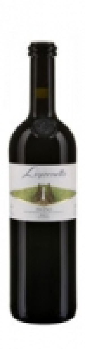 Ticino DOC Merlot Ligornetto 2013