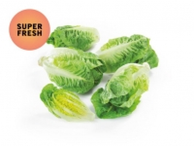 Salatherzen little gem CHF 0.89