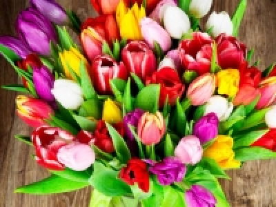 Tulpen Gemischt CHF 4.99