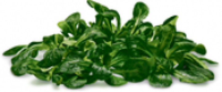 Nüsslisalat (ohne Coop Betty Bossi), Schweiz, Packung à 250 g