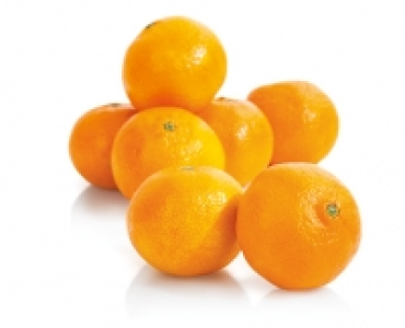Premium Clementinen CHF 1.99