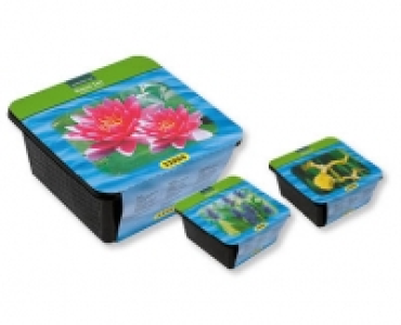 Aldi Suisse  GARDENLINE® Teichpflanzen-Set