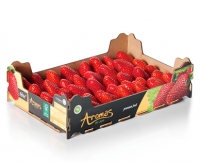 Aldi Suisse  Premium Erdbeeren