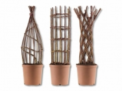 Geflochtene Salix Weide CHF 14.99