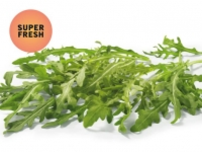 Rucola