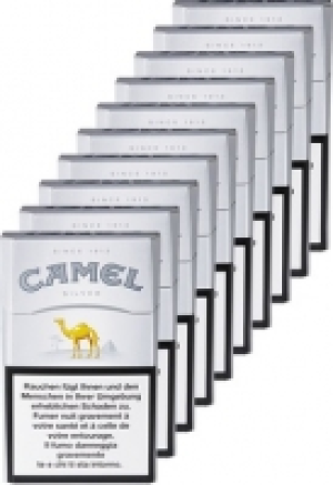 Camel Silver