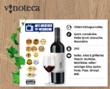 LUIS FELIPE EDWARDS LFE 900 Single Vineyard CHF 10.99