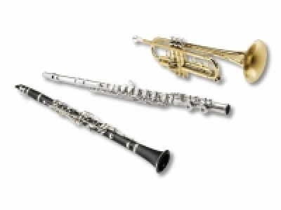 Blasinstrumente CHF 149.00