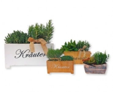 Kräuter-Korb