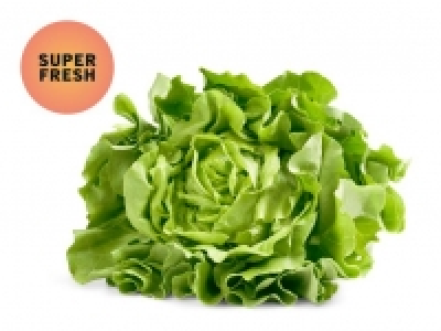 Kopfsalat CHF 0.99