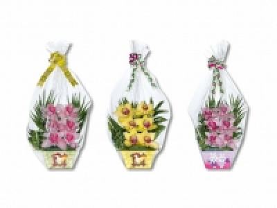 Orchideen 6er-Gesteck