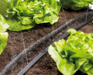 GARDENLINE&reg; Perl-/Spr&uuml;hschlauch