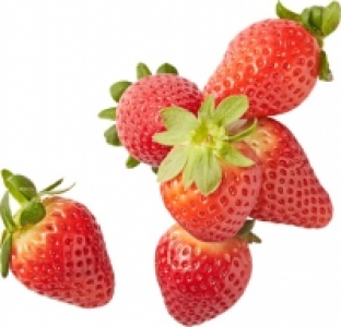 Erdbeeren Premium