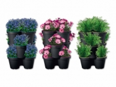 Pflanzgefäss-Set, 3er CHF 11.99